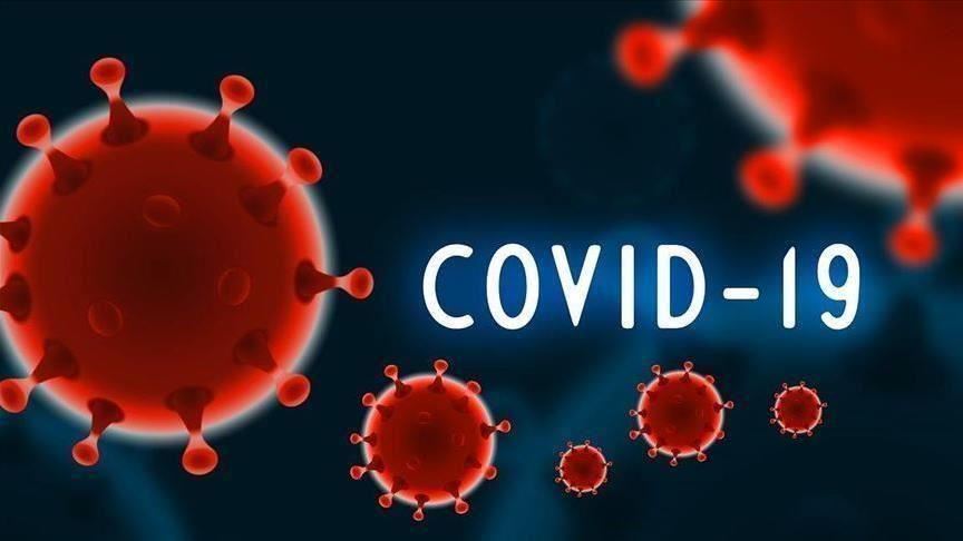 What Role Has Technology in the Fights Against COVID19?